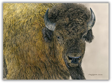 Slow Bull